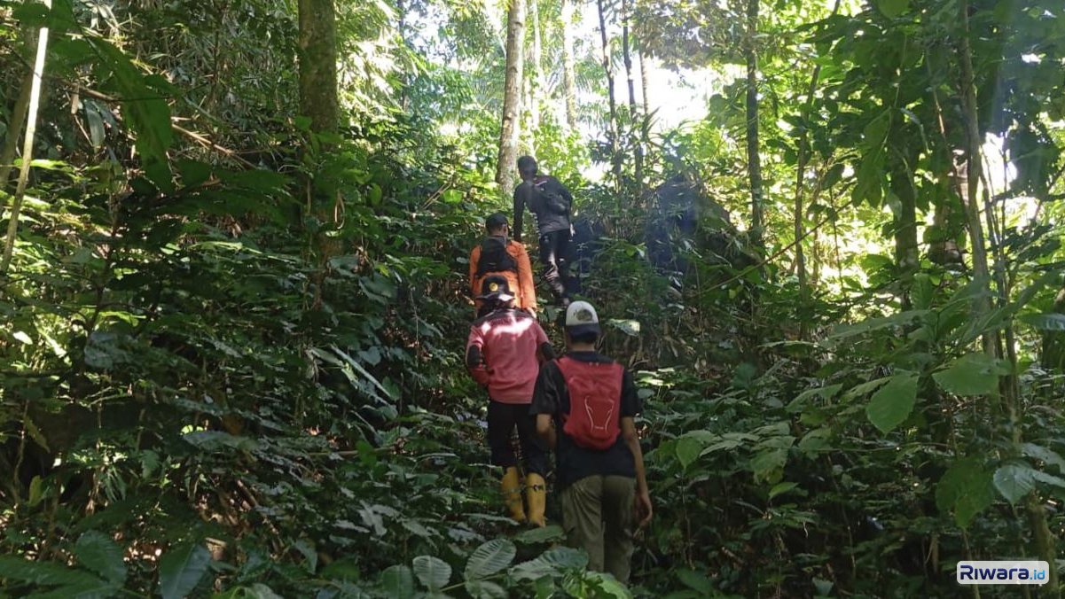 SAR gabungan menyisir vegetasi di Wanatirta Cilacap untuk menemukan lansia yang dilaporkan hilang